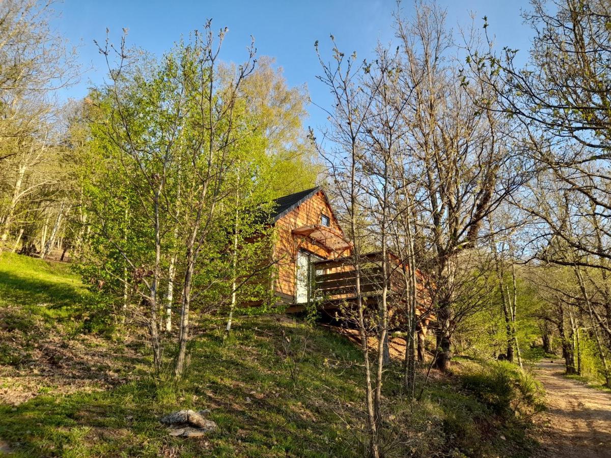 Mon Chalet Au Coeur Des Cevennes Vebron Zewnętrze zdjęcie